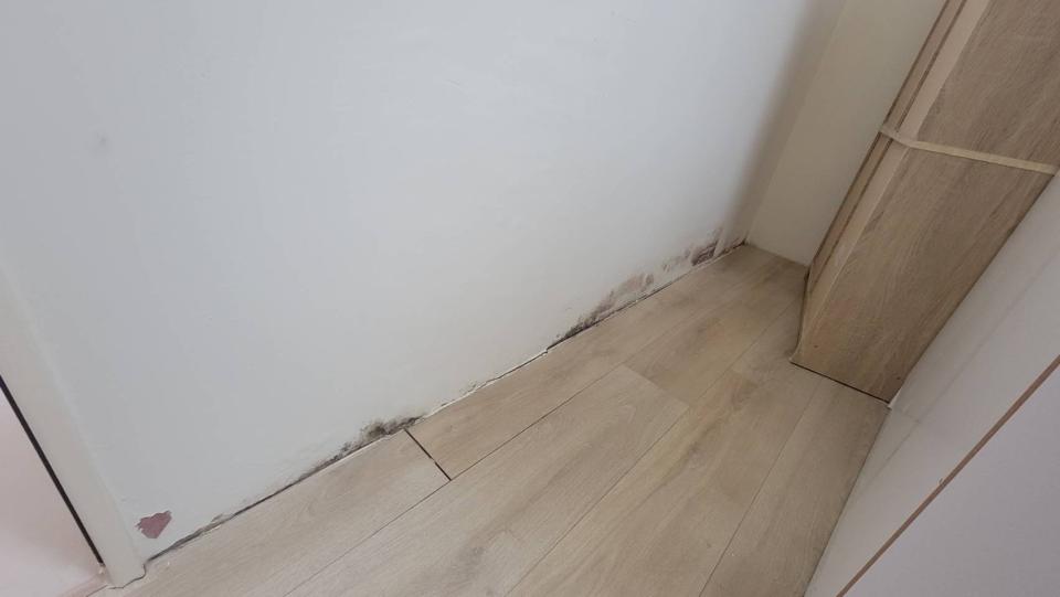 抓漏案件圖片