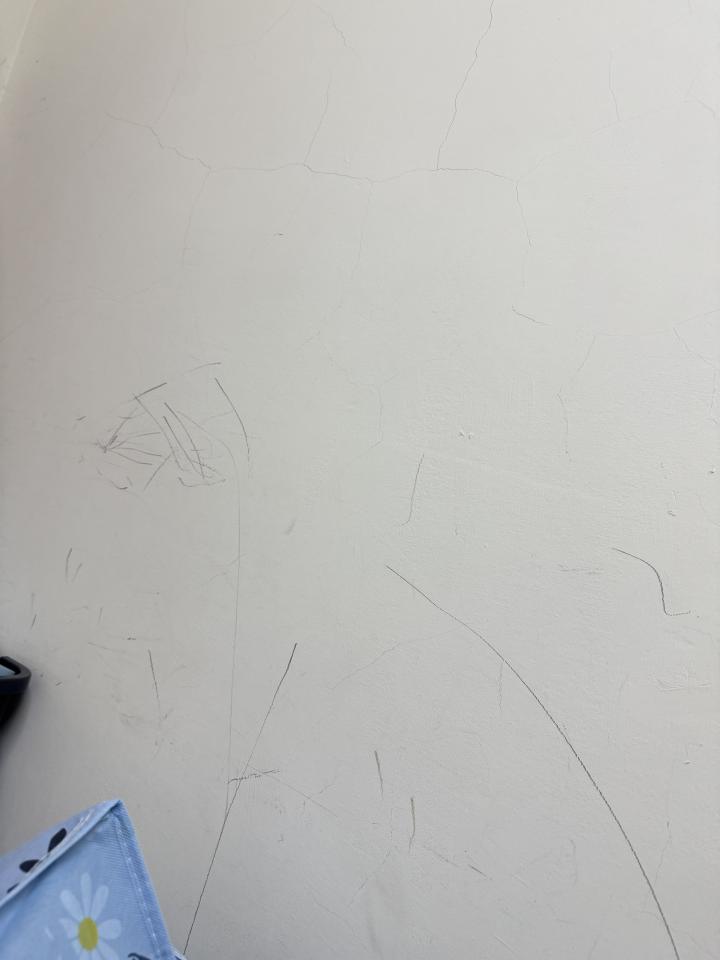 油漆工程案件圖片