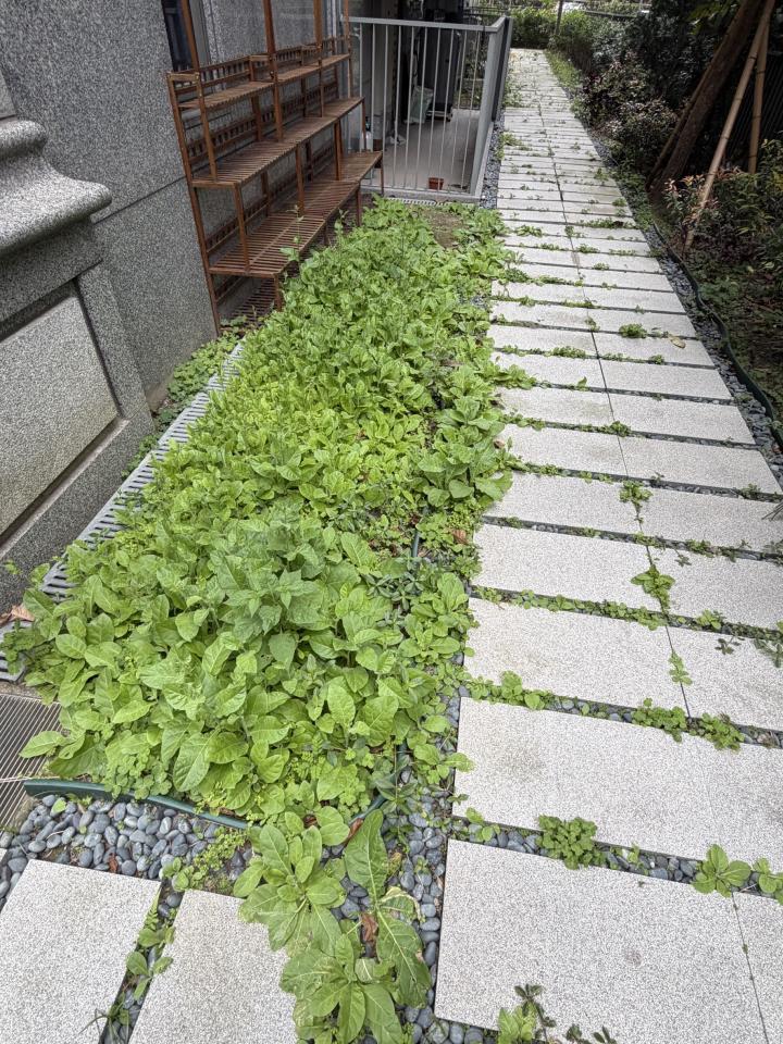 園藝維護案件圖片