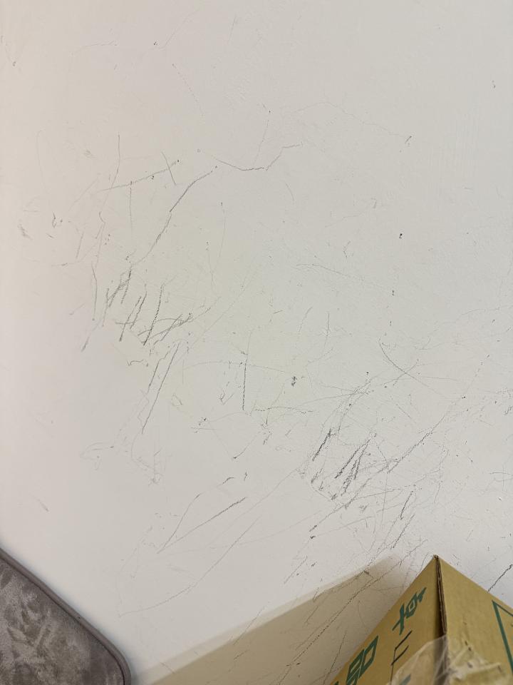油漆工程案件圖片