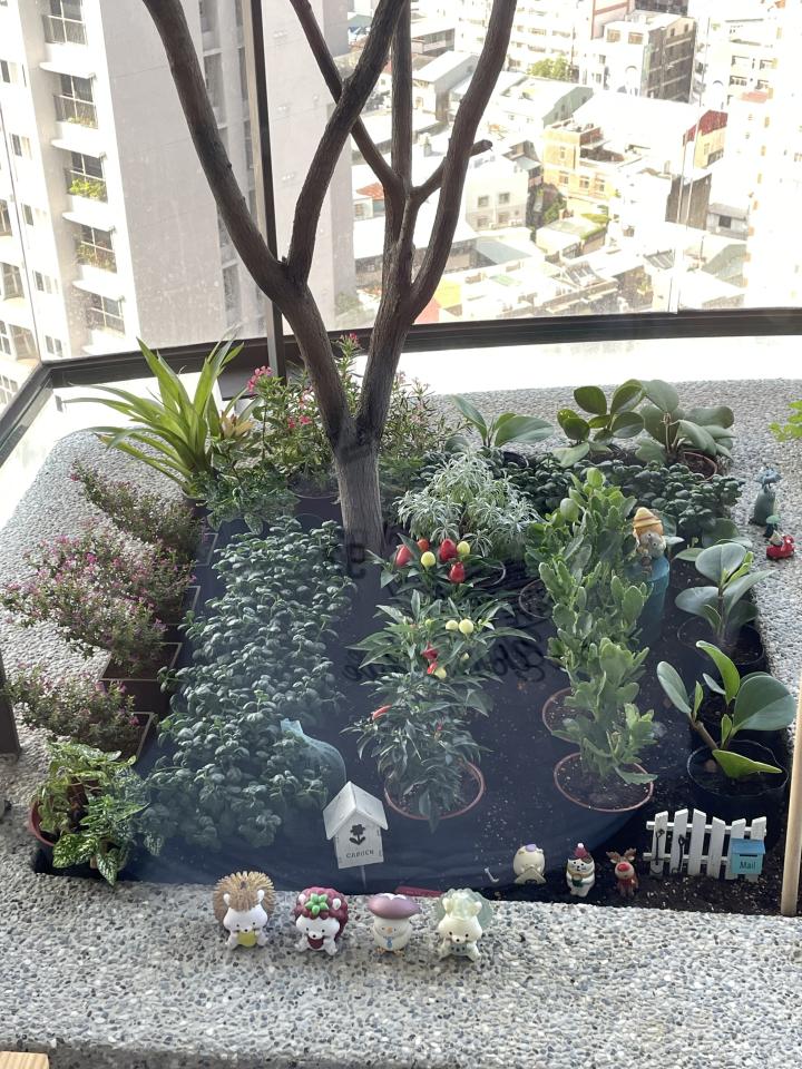 燈具安裝案件圖片