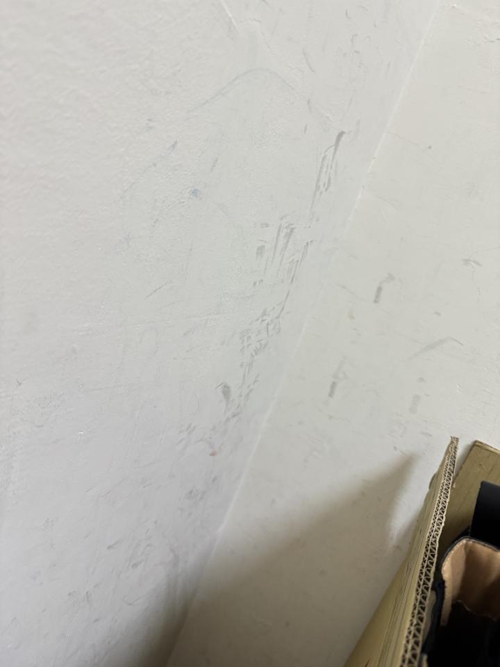 油漆工程案件圖片