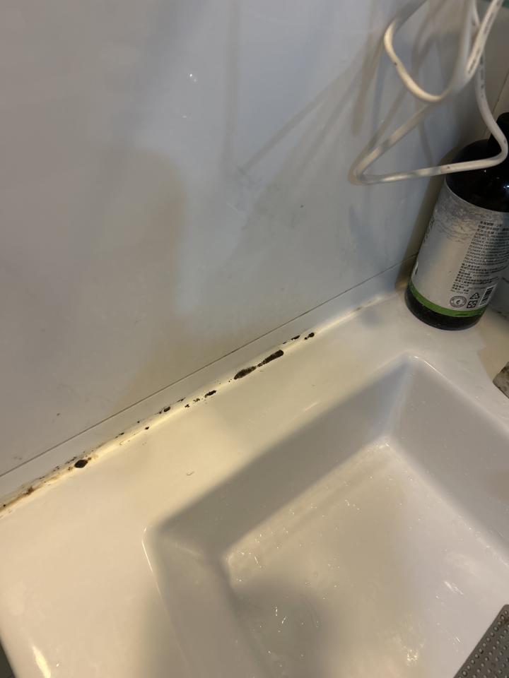 矽利康工程案件圖片