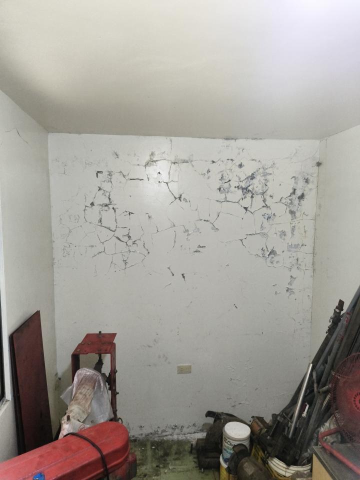 壁癌處理案件圖片