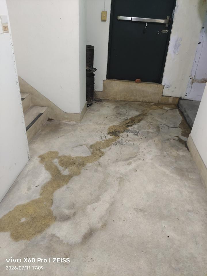 屋頂防水案件圖片