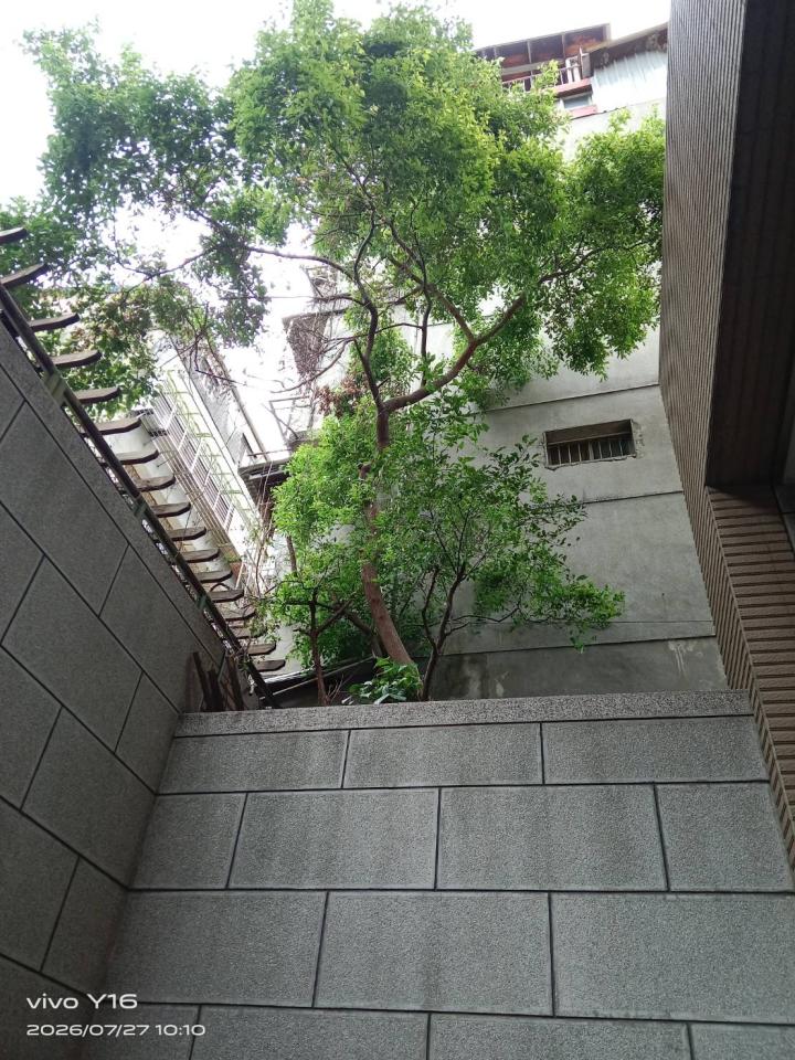 園藝維護案件圖片