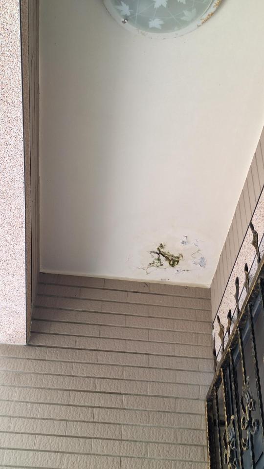 統包工程案件圖片