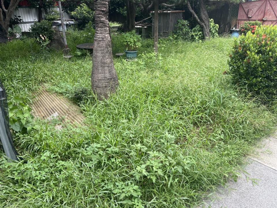 園藝維護案件圖片
