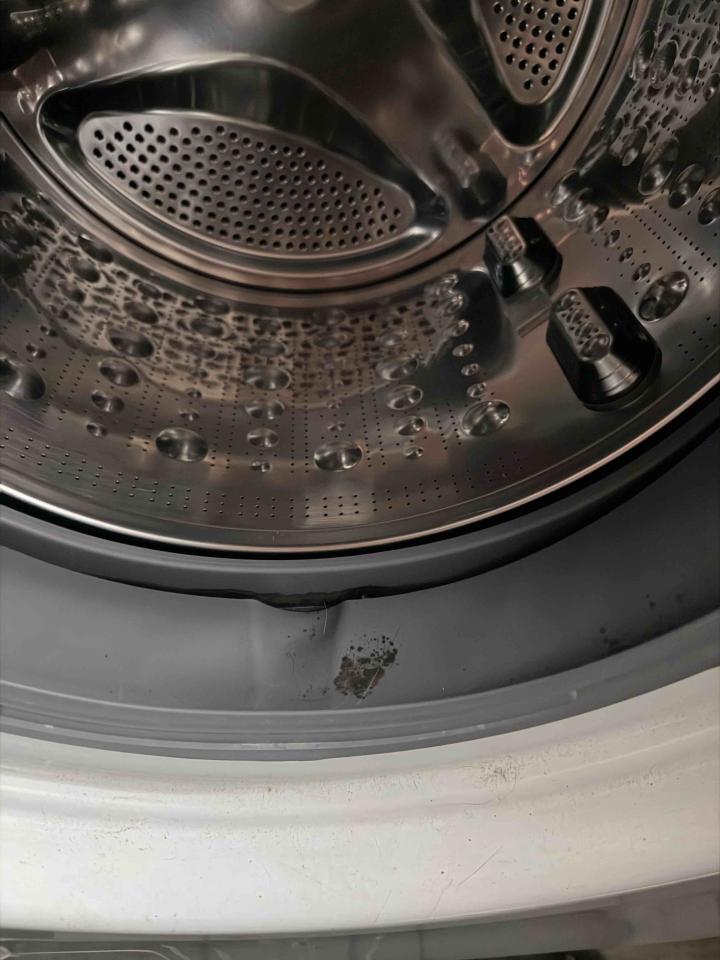 洗衣機清洗案件圖片