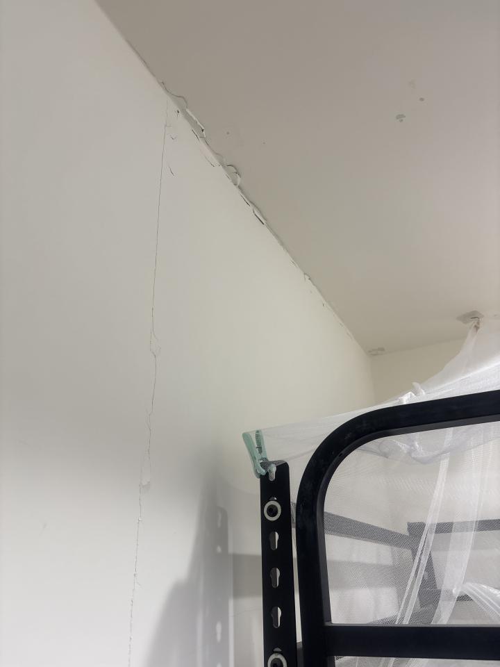 油漆工程案件圖片