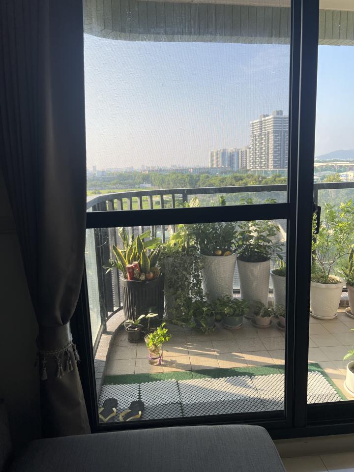 紗窗裝修案件圖片