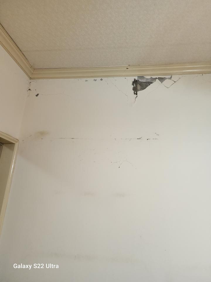 泥作/水泥施工案件圖片