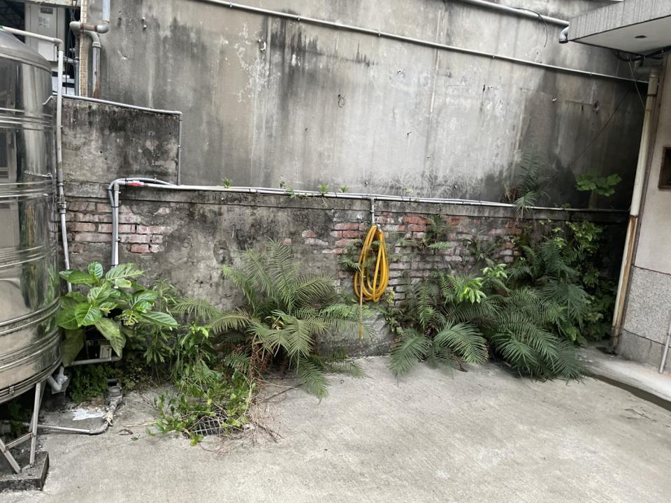 園藝維護案件圖片