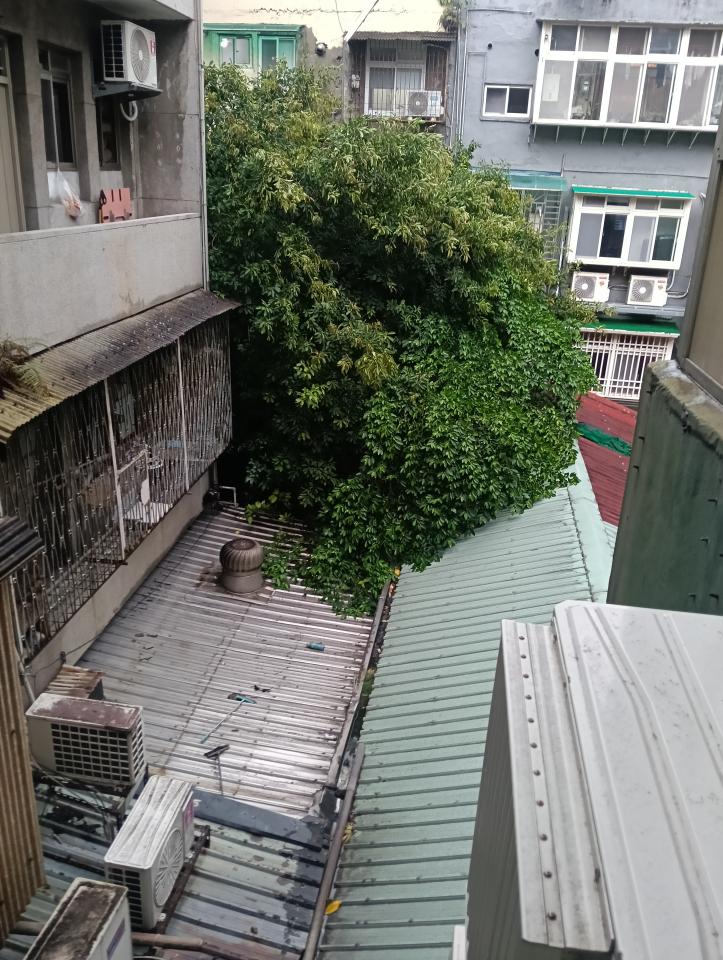 鐵皮屋頂案件圖片