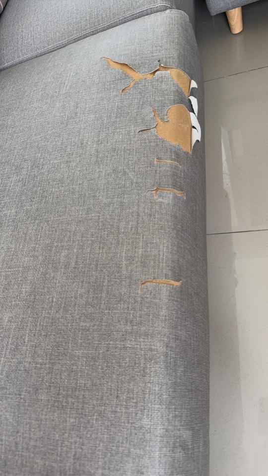 沙發修理案件圖片
