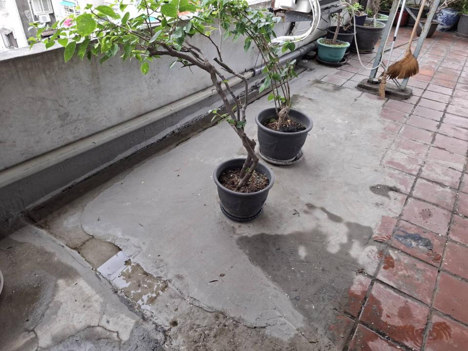 屋頂排水案件圖片