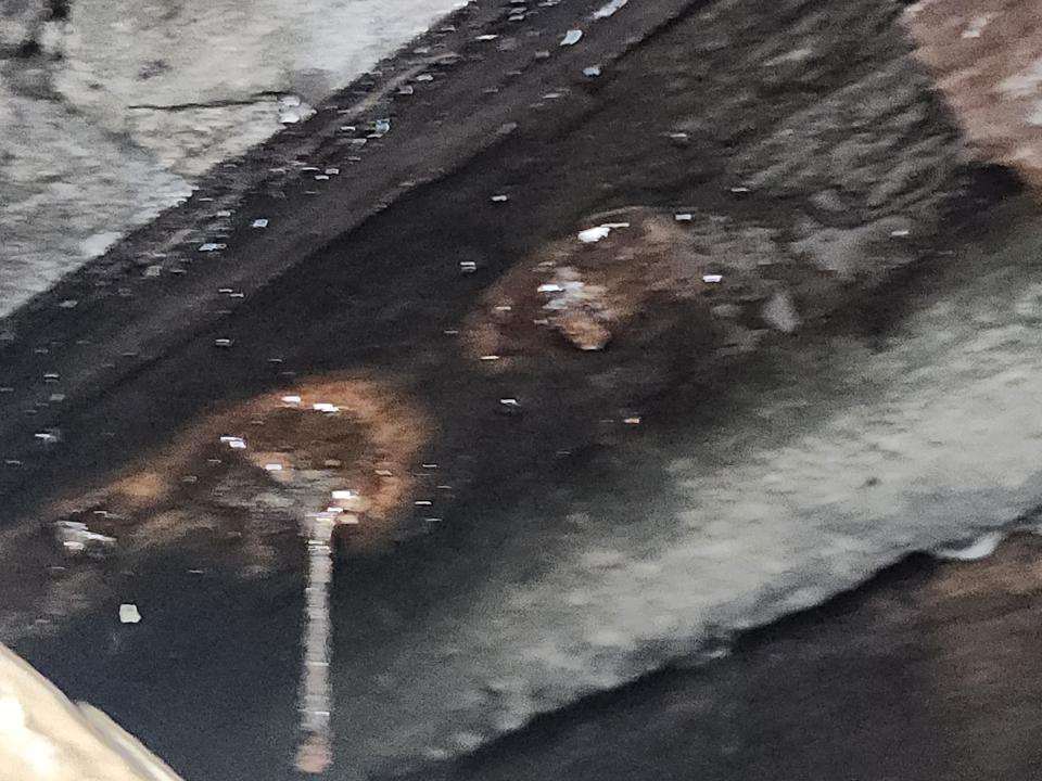 抓漏案件圖片