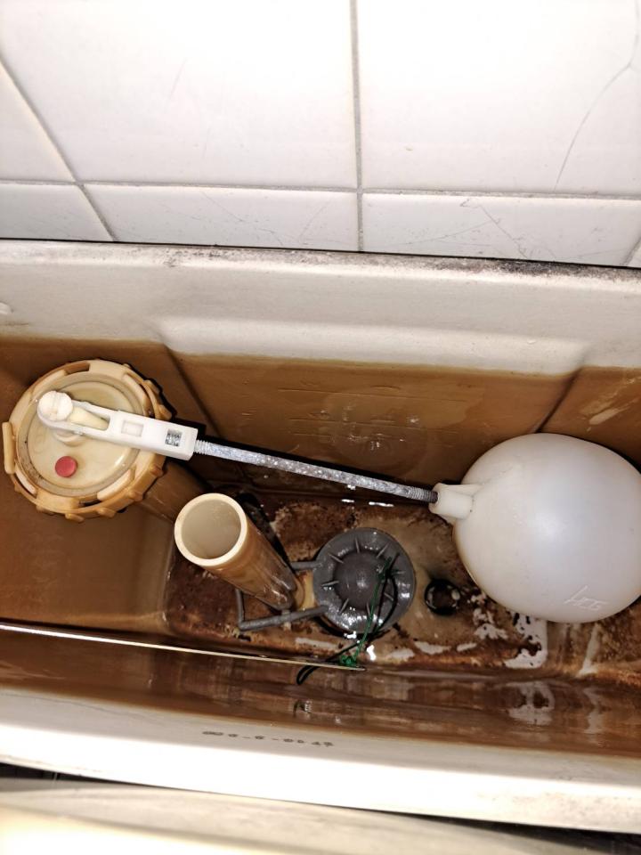 馬桶裝修案件圖片