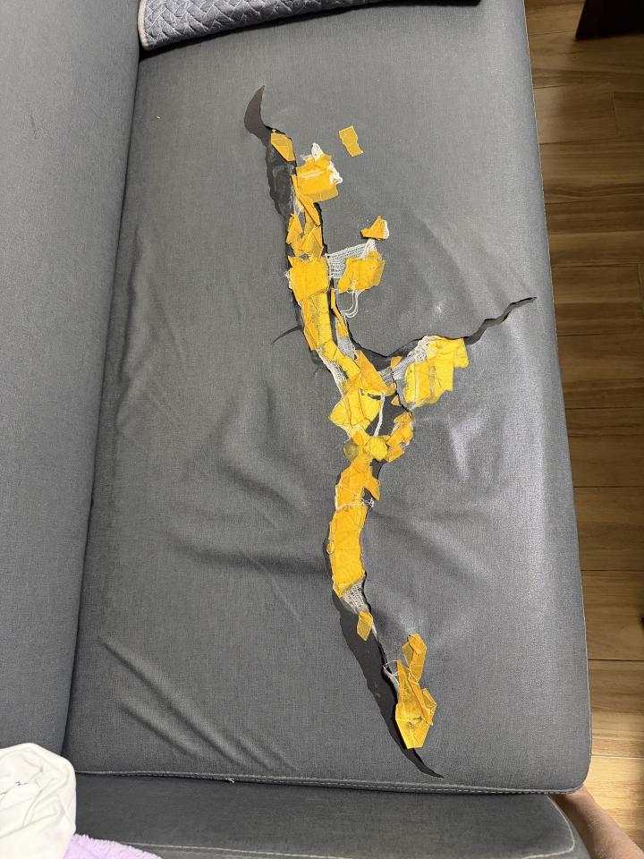 沙發修理案件圖片