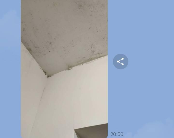 漏水鑑定案件圖片