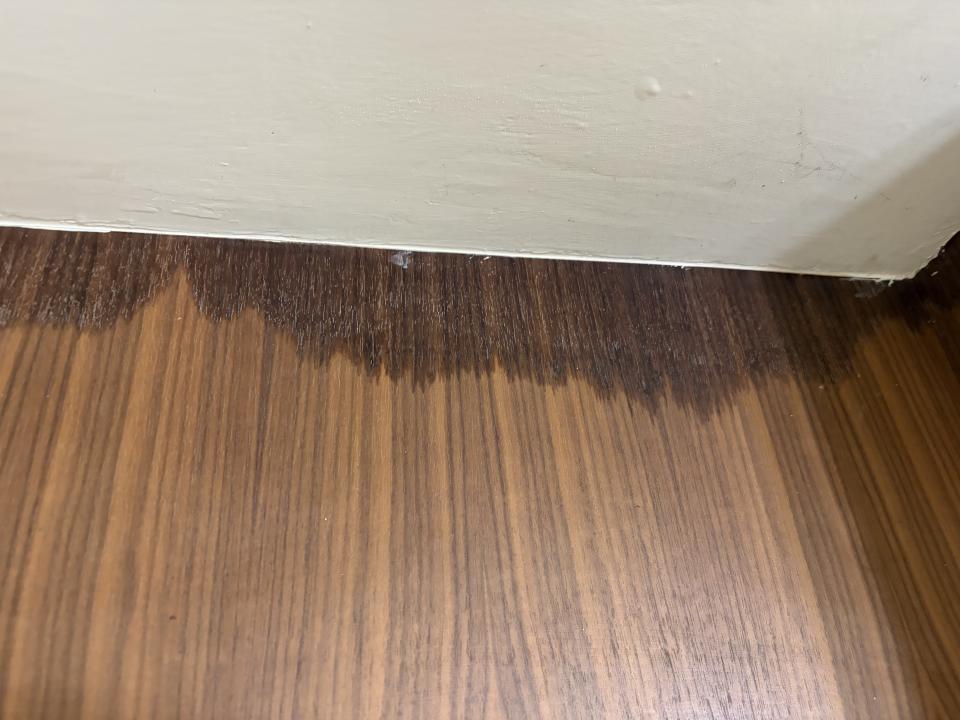 漏水鑑定案件圖片