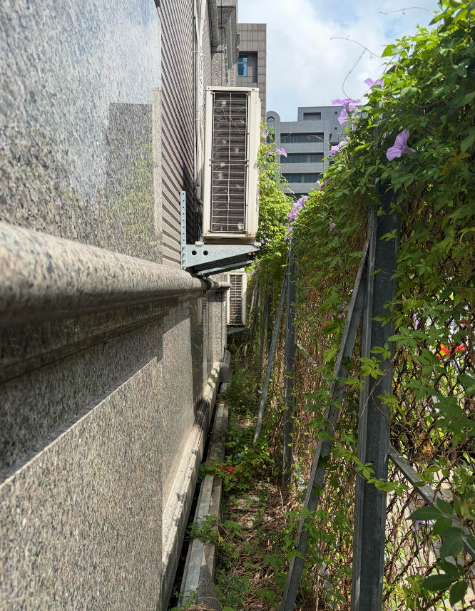 園藝維護案件圖片