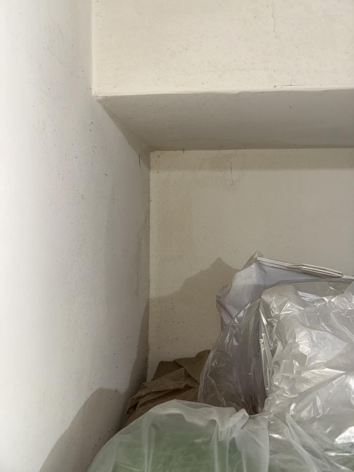 壁癌處理案件圖片