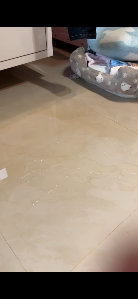 抓漏案件圖片