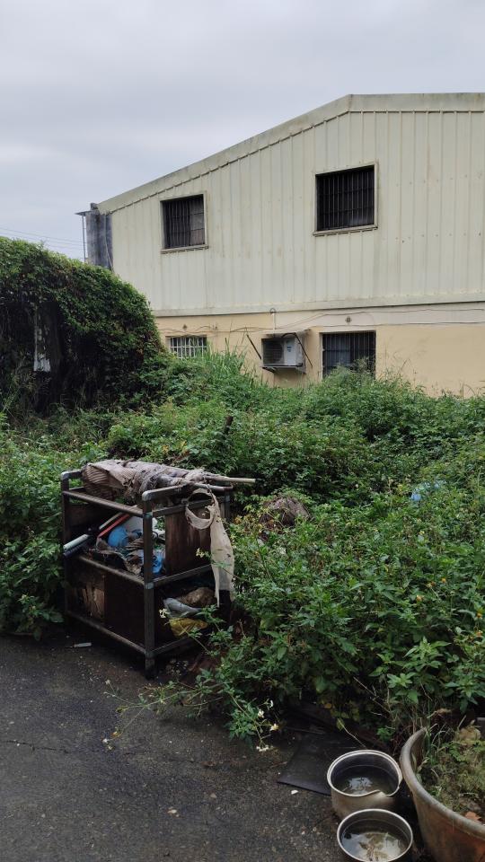 園藝維護案件圖片