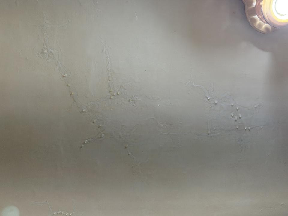 漏水處理案件圖片
