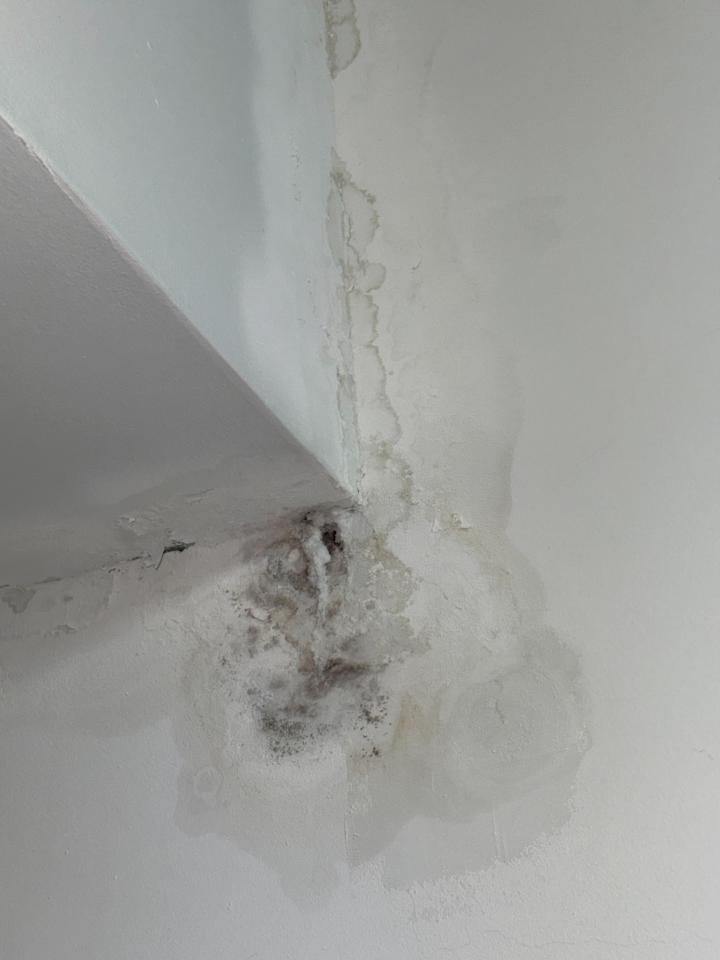 壁癌處理案件圖片
