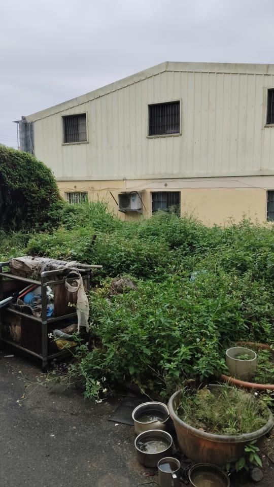 園藝維護案件圖片