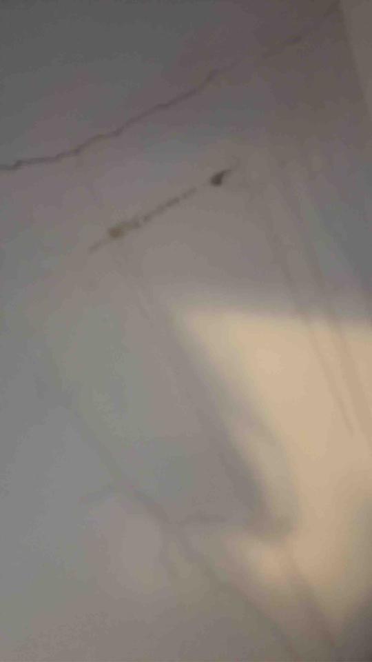 抓漏案件圖片
