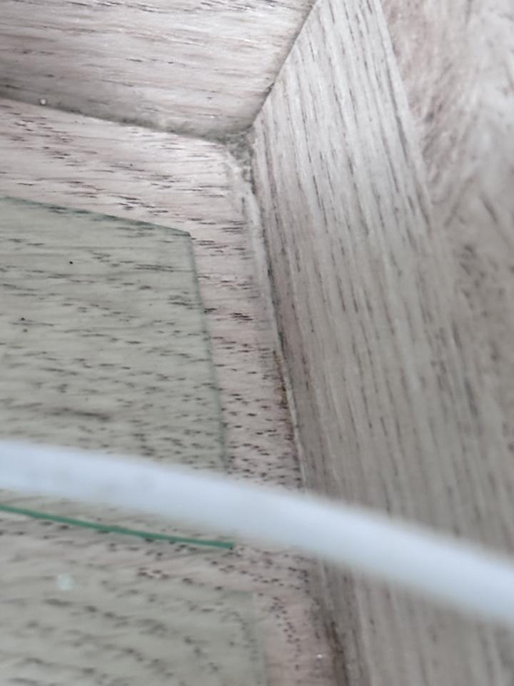 拆除工程案件圖片