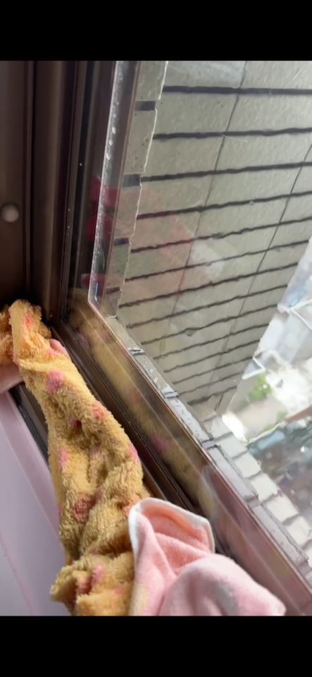 抓漏案件圖片