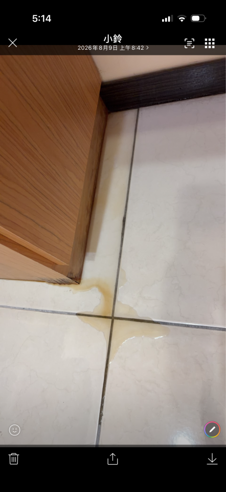 拆除工程案件圖片