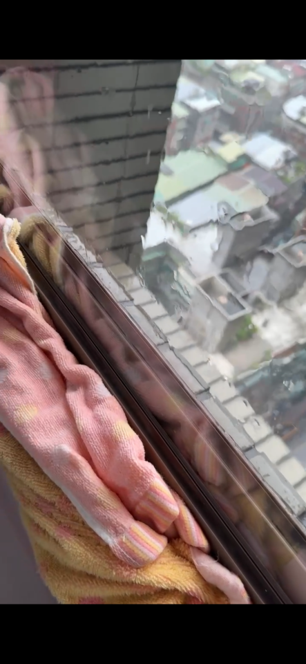 抓漏案件圖片