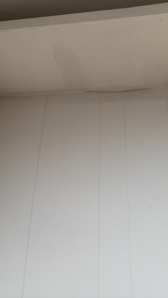 抓漏案件圖片