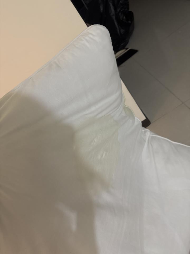 沙發清潔案件圖片