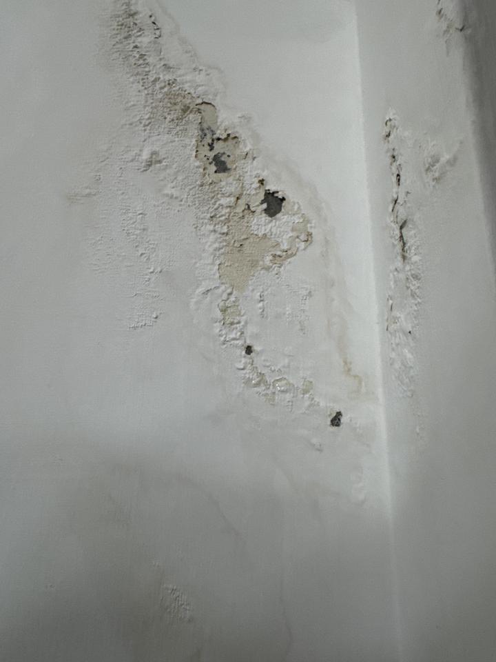 抓漏案件圖片