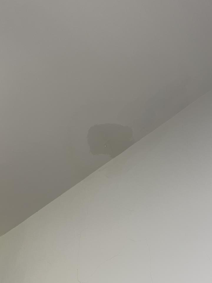 抓漏案件圖片
