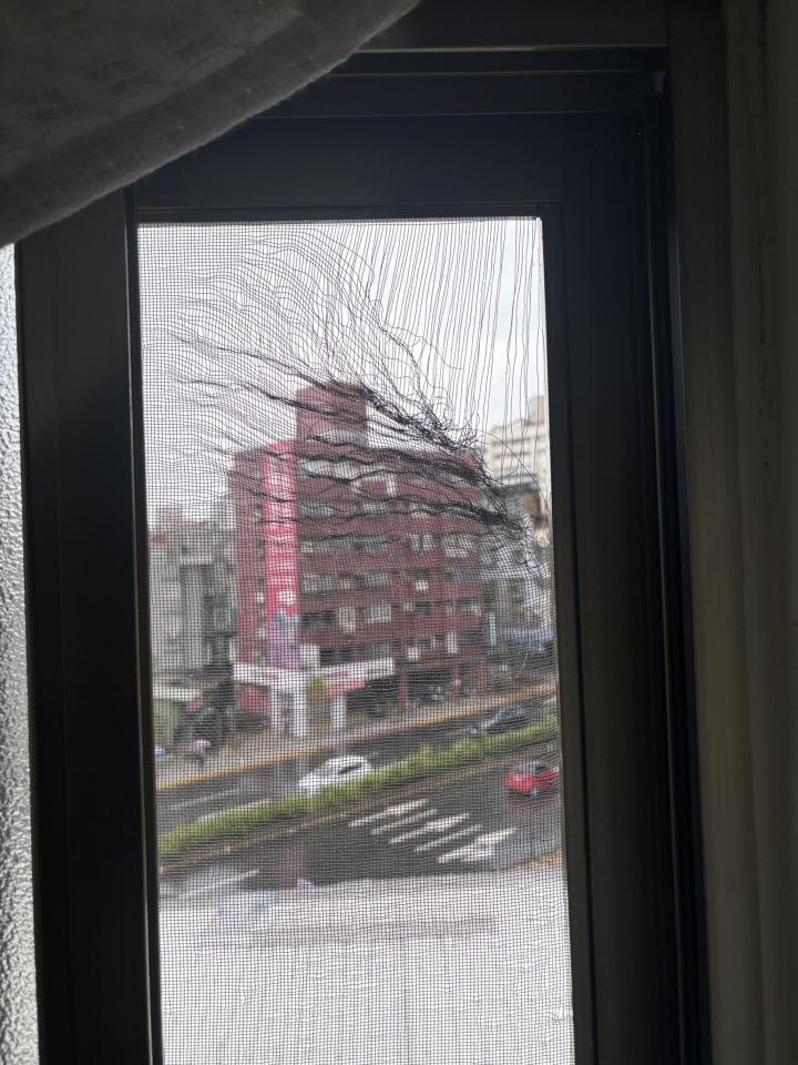 紗窗裝修案件圖片