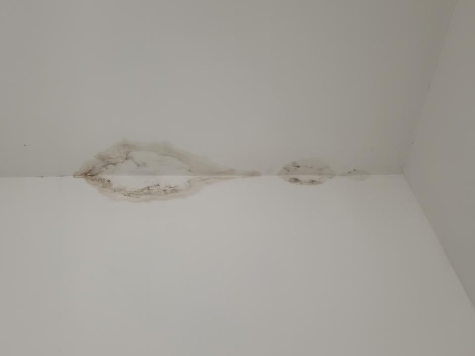 抓漏案件圖片