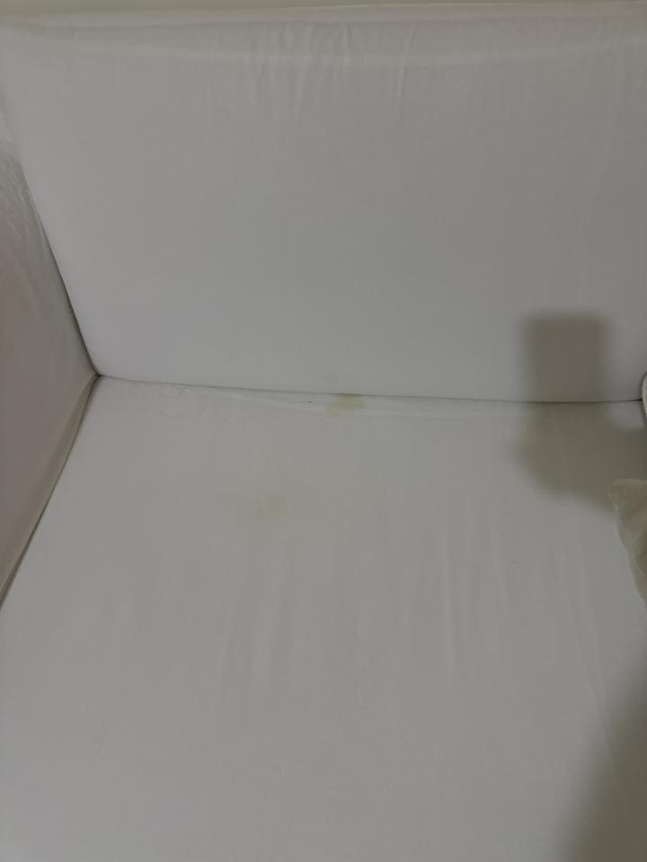 沙發清潔案件圖片