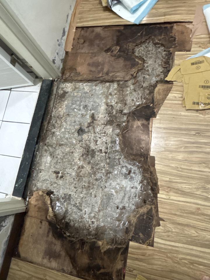 地板施工案件圖片