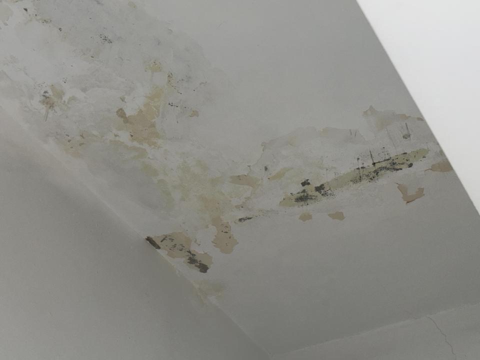 壁癌處理案件圖片