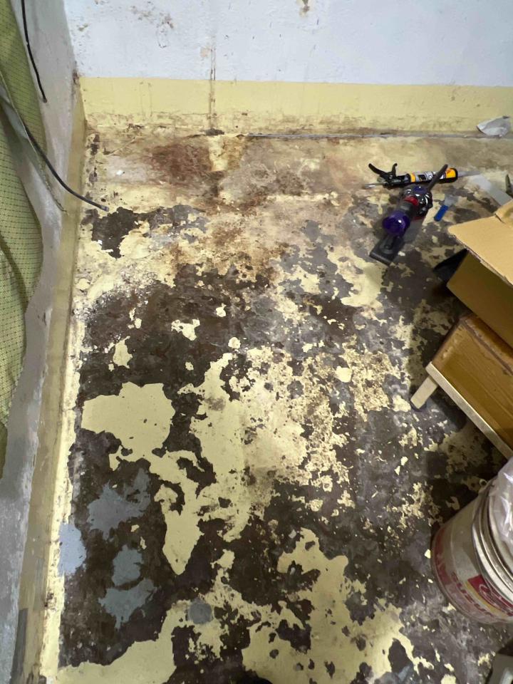 統包工程案件圖片