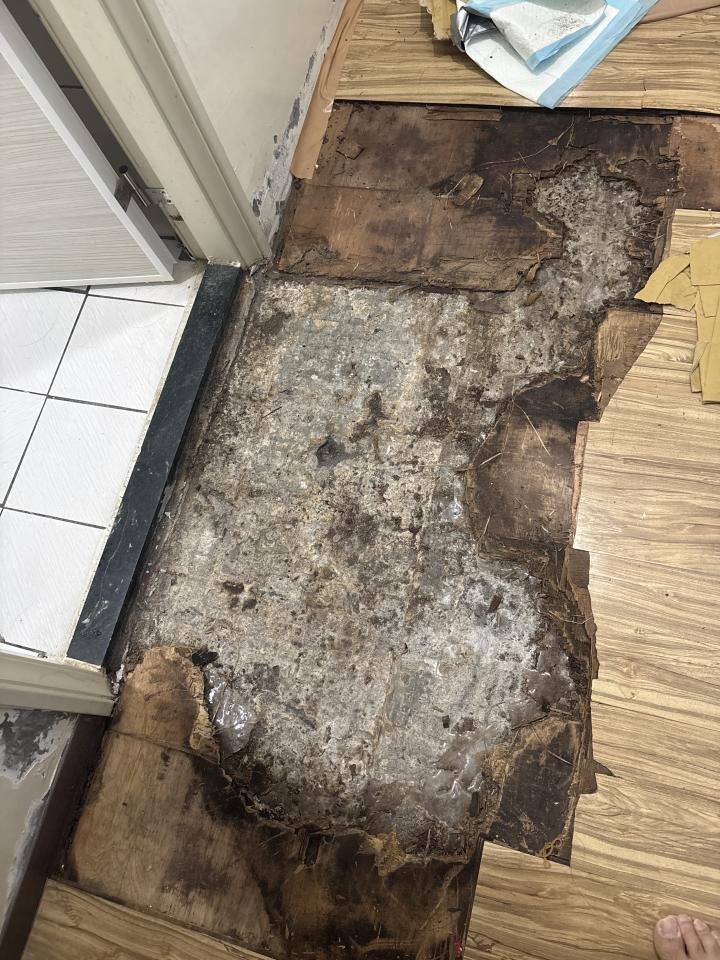 地板施工案件圖片