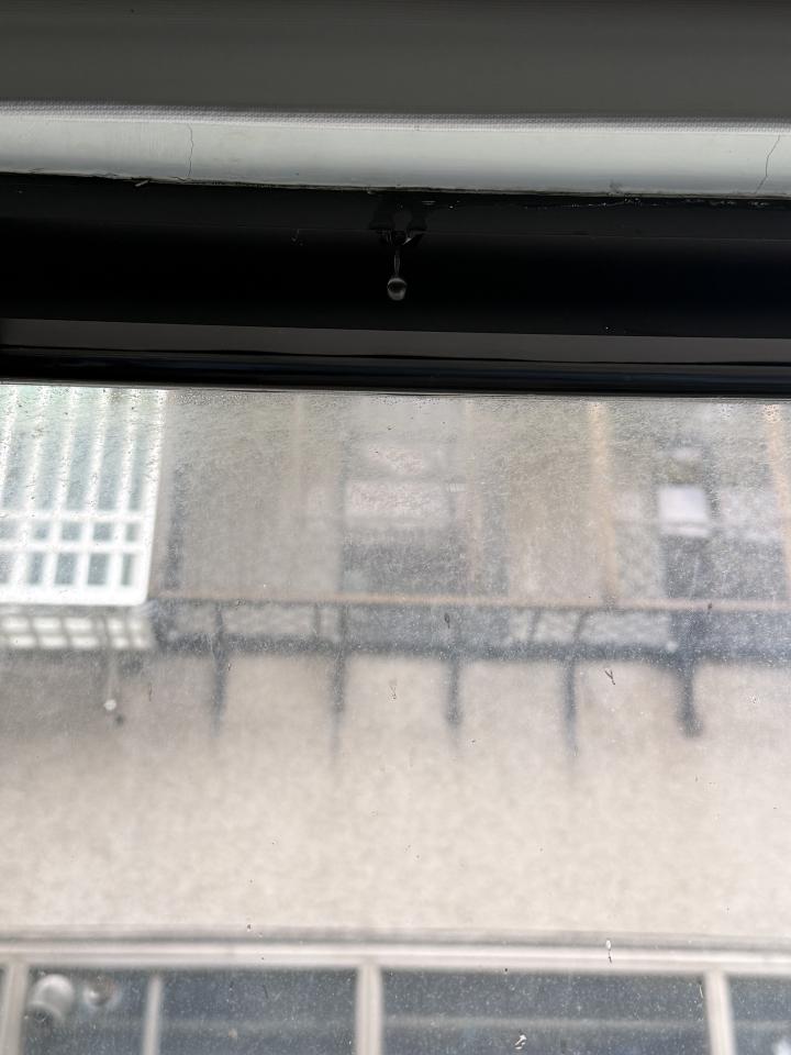 抓漏案件圖片