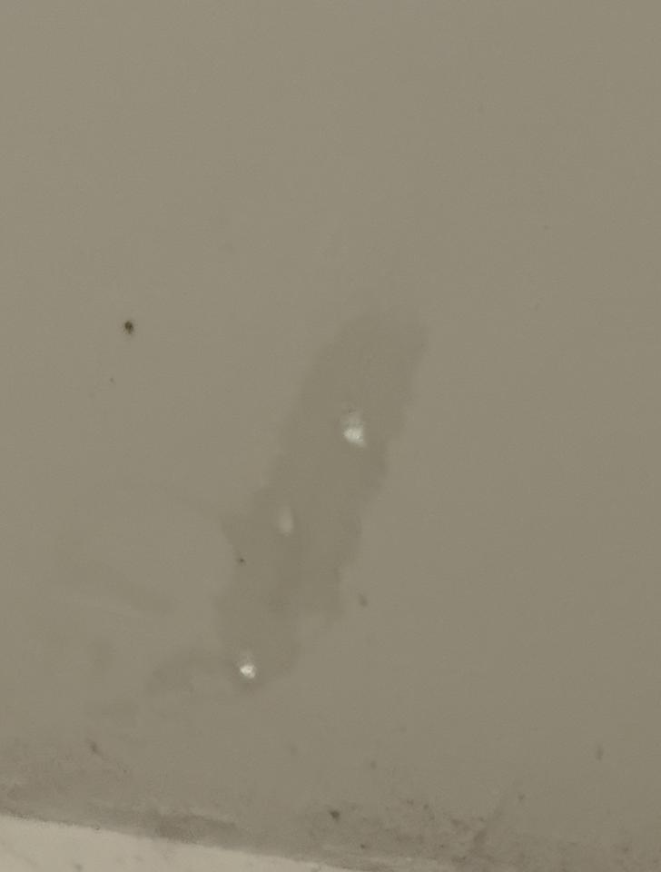 漏水處理案件圖片
